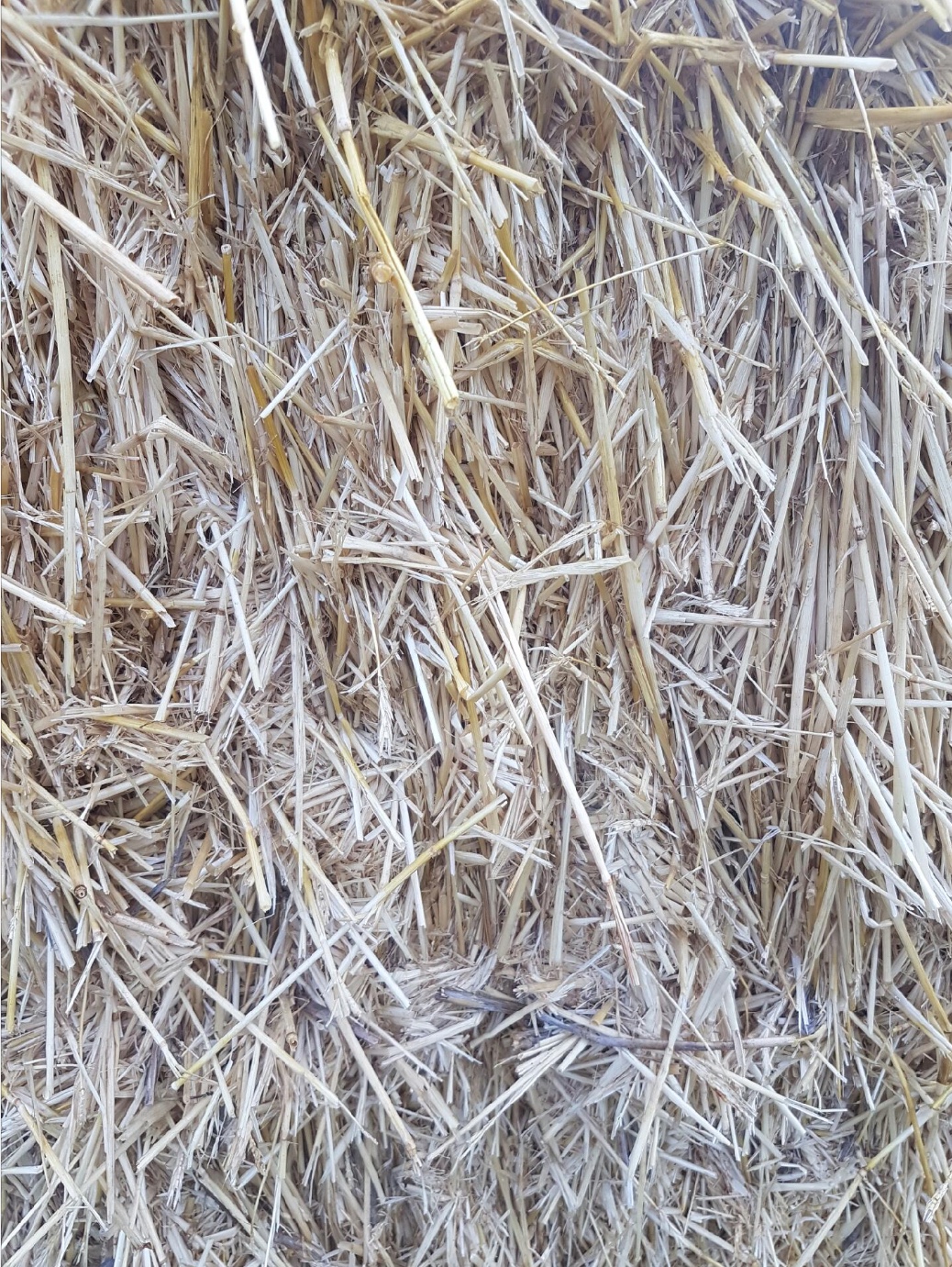 100 m/t Barley Straw 8x4x3 Delivered Price. Hay & Fodder